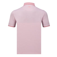 The Cape Polo