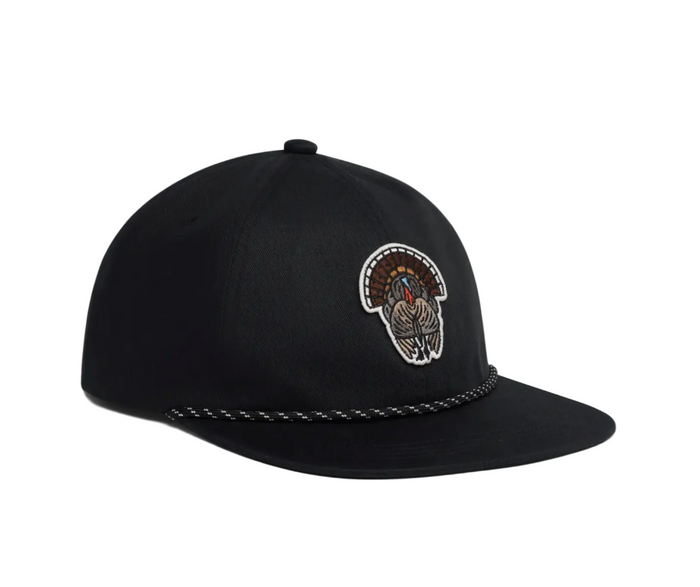 Species Unstructured Snapback