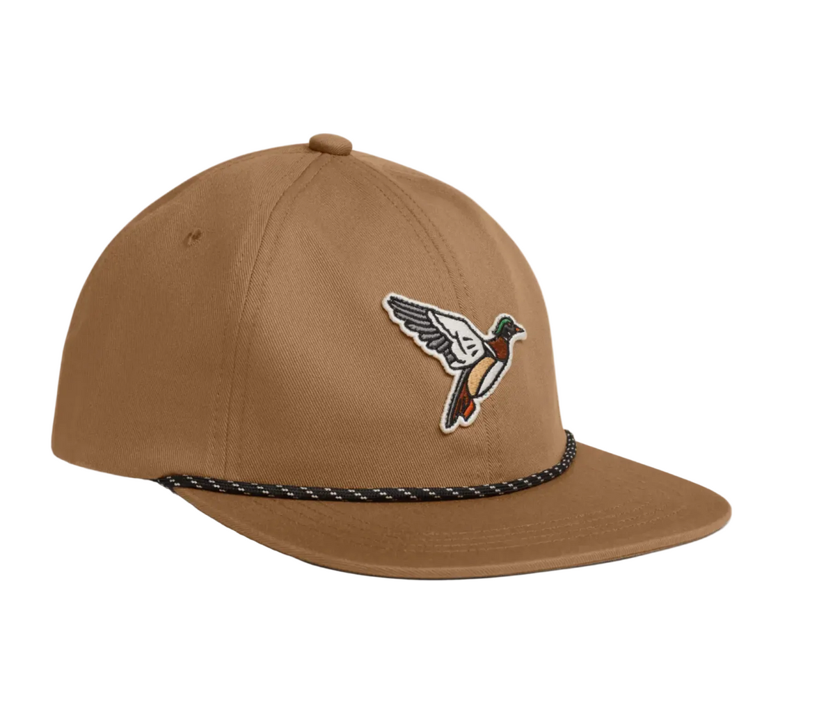 Species Unstructured Snapback