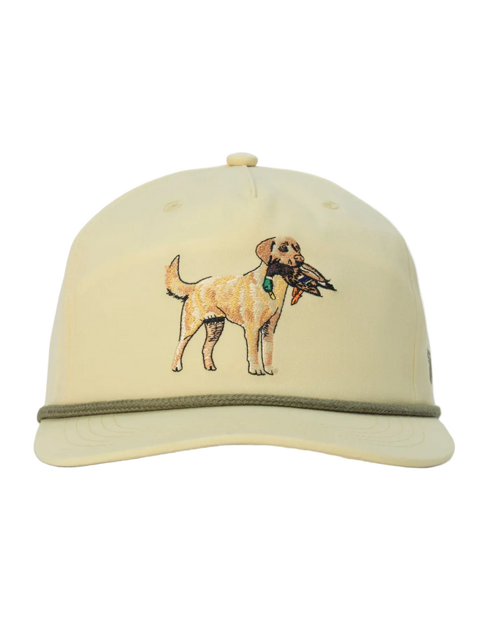 Grandpa Hat Yellow Lab