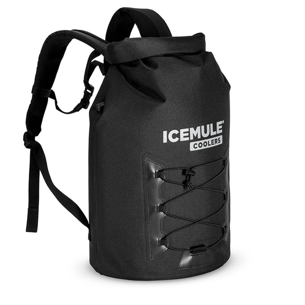 Pro 33L