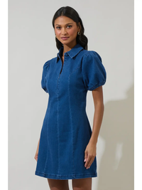 Adalyn Denim Mini Dress
