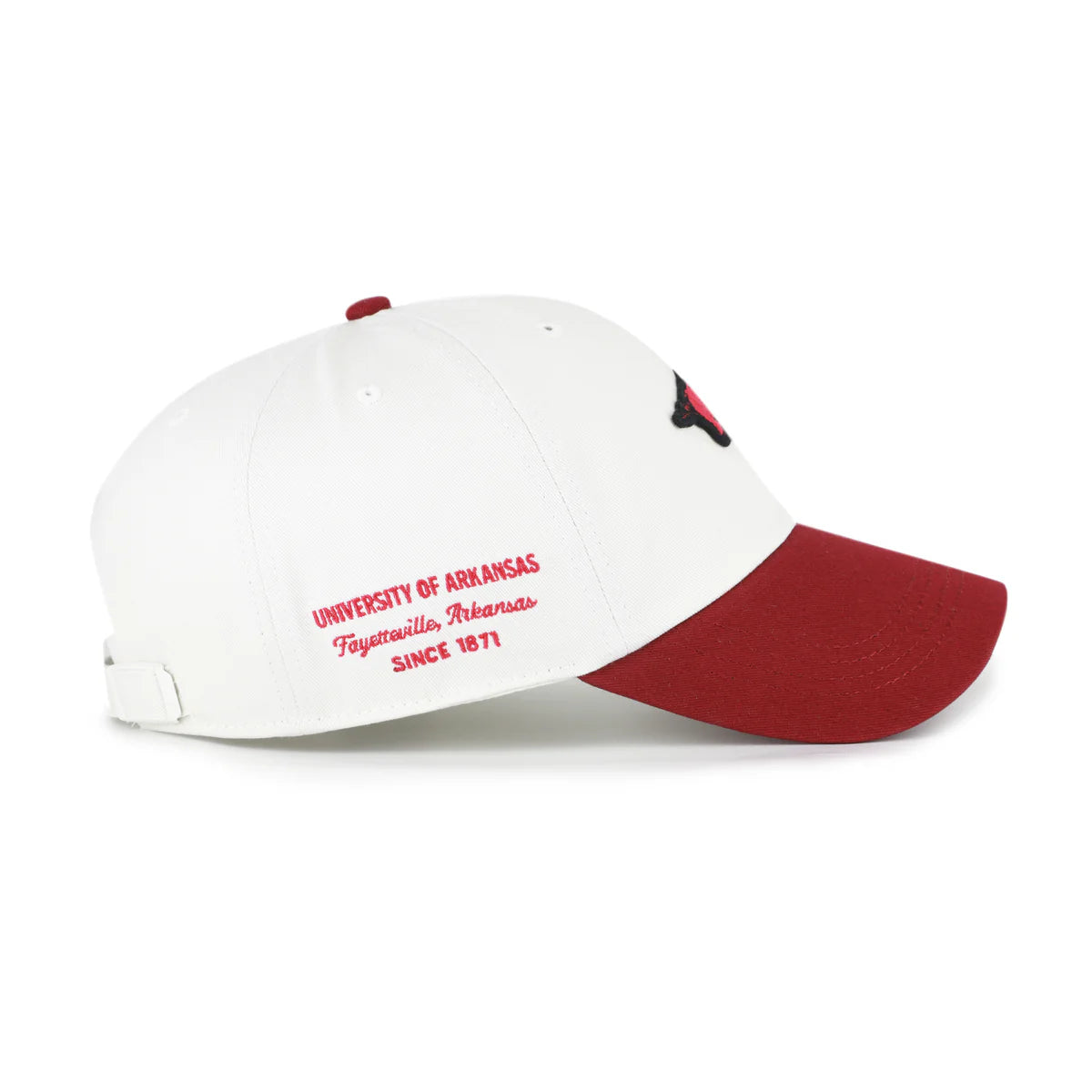 Arkansas Razorbacks Sandstone Contemporary Clean Up