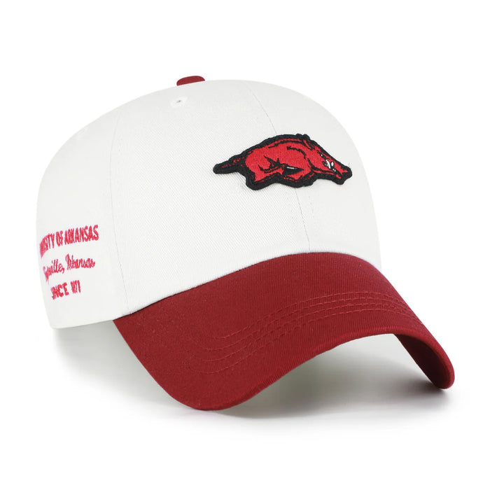 Arkansas Razorbacks Sandstone Contemporary Clean Up