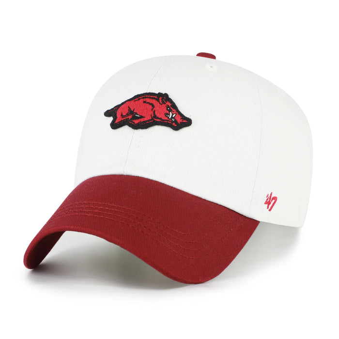 Arkansas Razorbacks Sandstone Contemporary Clean Up